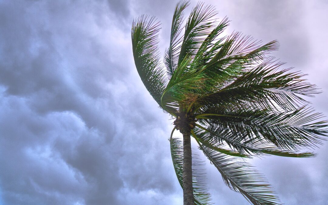 Hurricane Recovery: Impact on Insurance