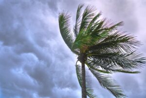 Hurricane Recovery: Impact on Insurance
