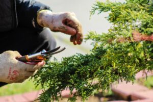 Florida Condo Association Maintenance Responsibilities 