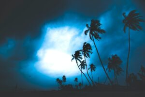 How to Handle Condo Association Insurance Claims in Florida